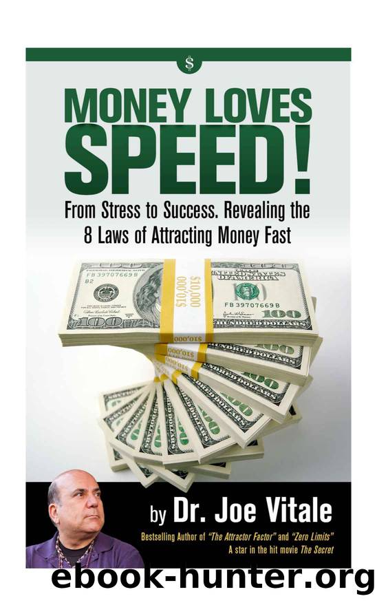 Money Loves Speed by Vitale Joe