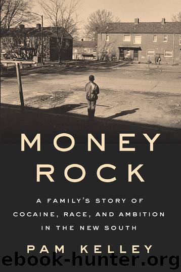 Money Rock by Pam Kelley