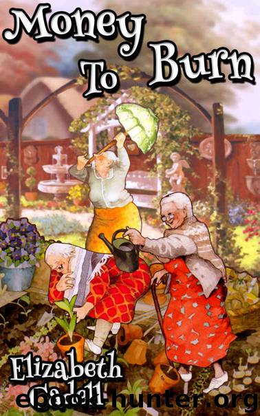 Money To Burn by Cadell Elizabeth