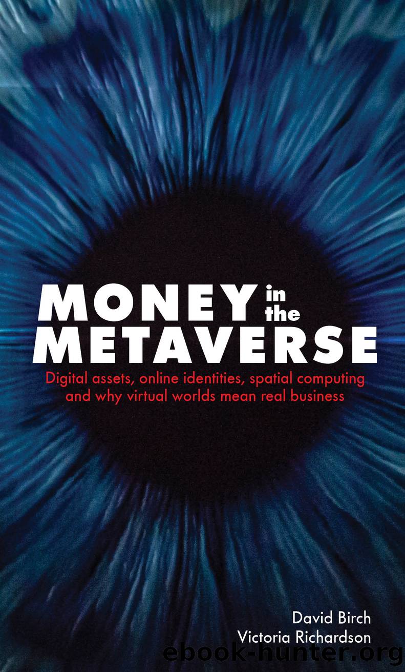 Money in the Metaverse by David Birch