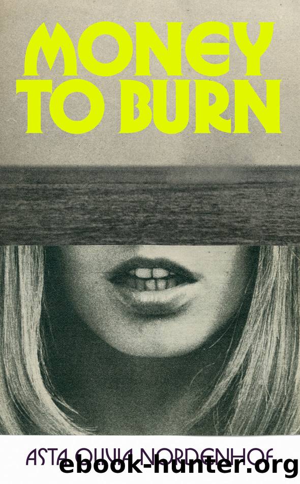 Money to Burn by Asta Olivia Nordenhof
