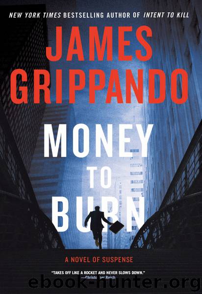 Money to Burn by James Grippando