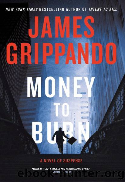 Money to burn: a novel of suspense by James Grippando