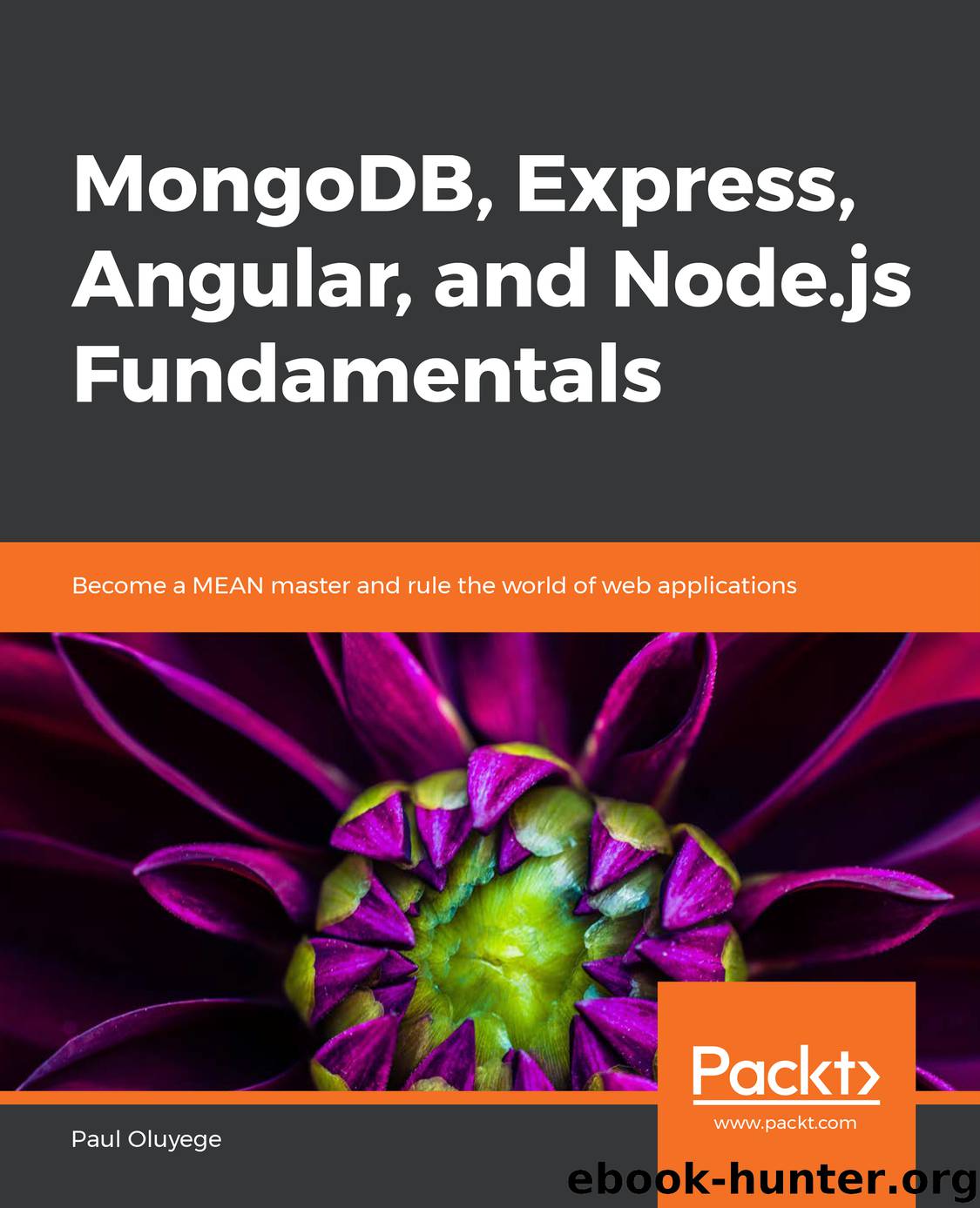 MongoDB, Express, Angular, and Node.js Fundamentals by Paul Oluyege