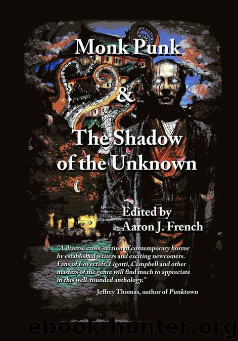 Monk Punk and Shadow of the Unknown Omnibus by French Aaron