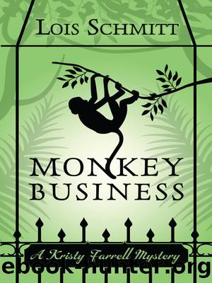 Monkey Business by Lois Schmitt