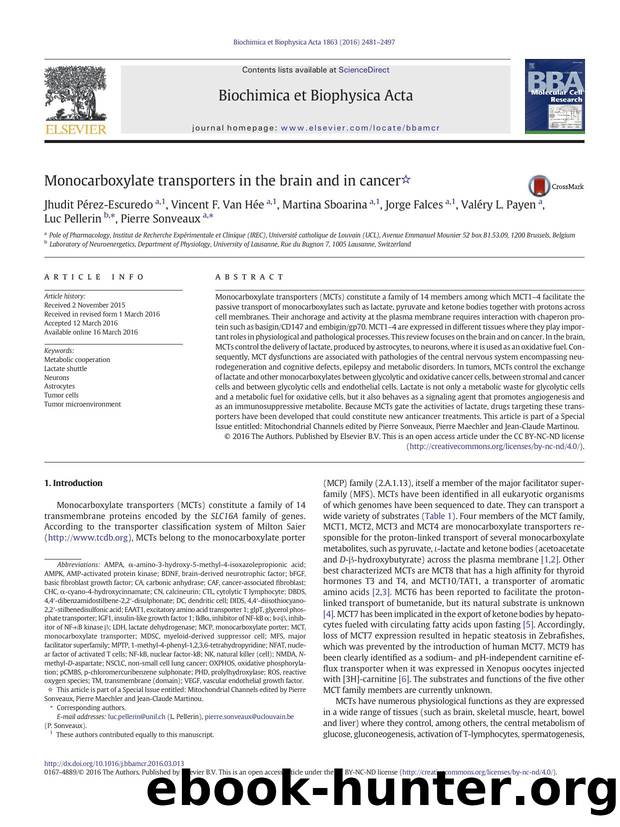Monocarboxylate transporters in the brain and in cancer by unknow