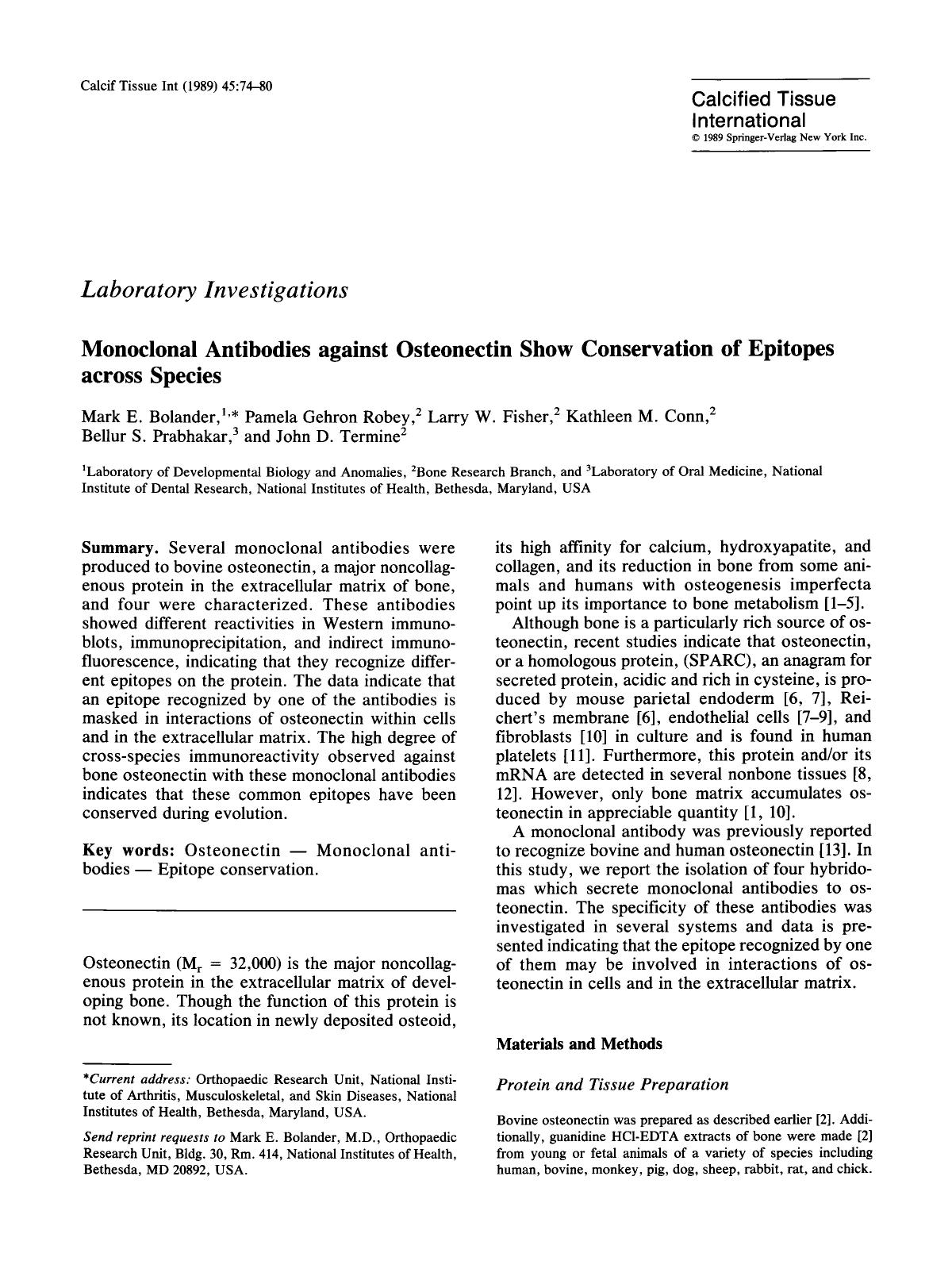 Monoclonal antibodies against osteonectin show conservation of epitopes across species by Unknown