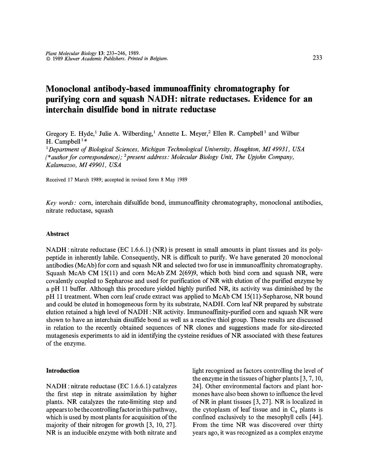 Monoclonal antibody-based immunoaffinity chromatography for purifying corn and squash NADH: nitrate reductases. Evidence for an interchain disulfide bond in nitrate reductase by Unknown