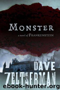 Monster by Zeltserman Dave