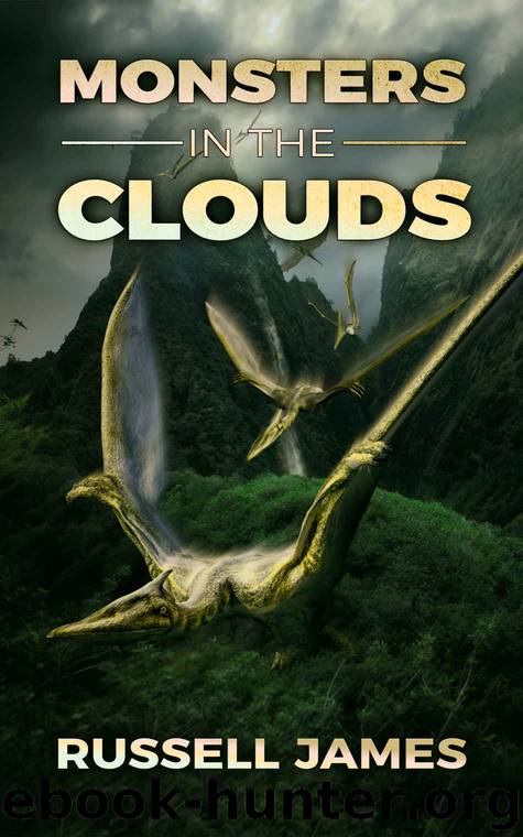 Monsters In The Clouds by Russell James
