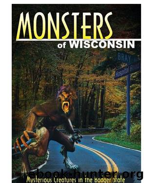 Monsters of Wisconsin by Godfrey Linda S