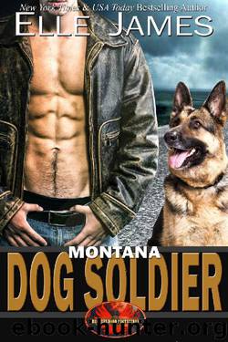 Montana Dog Soldier (Brotherhood Protectors Book 6) by Elle James