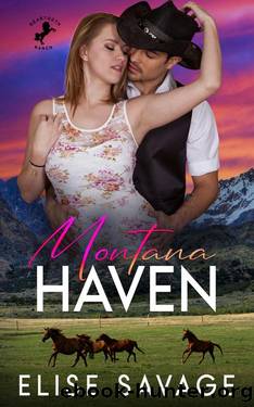 Montana Haven: A Small Town Surprise Pregnancy Romance by Elise Savage