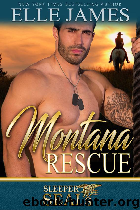 Montana Rescue (Sleeper SEALs) (Volume 6) by Elle James