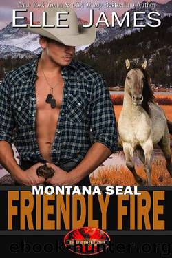 Montana SEAL Friendly Fire (Brotherhood Protectors Book 11) by Elle James