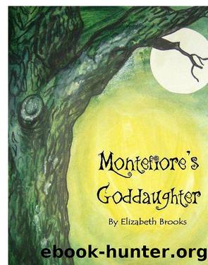 Montefiore's Goddaughter by Elizabeth Brooks