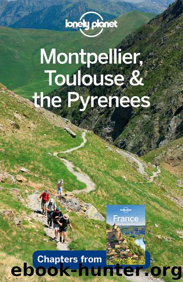 Montpellier Toulouse & Pyrenees by Lonely Planet