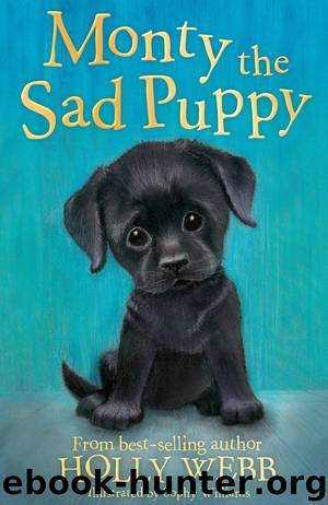 Monty the Sad Puppy by Holly Webb