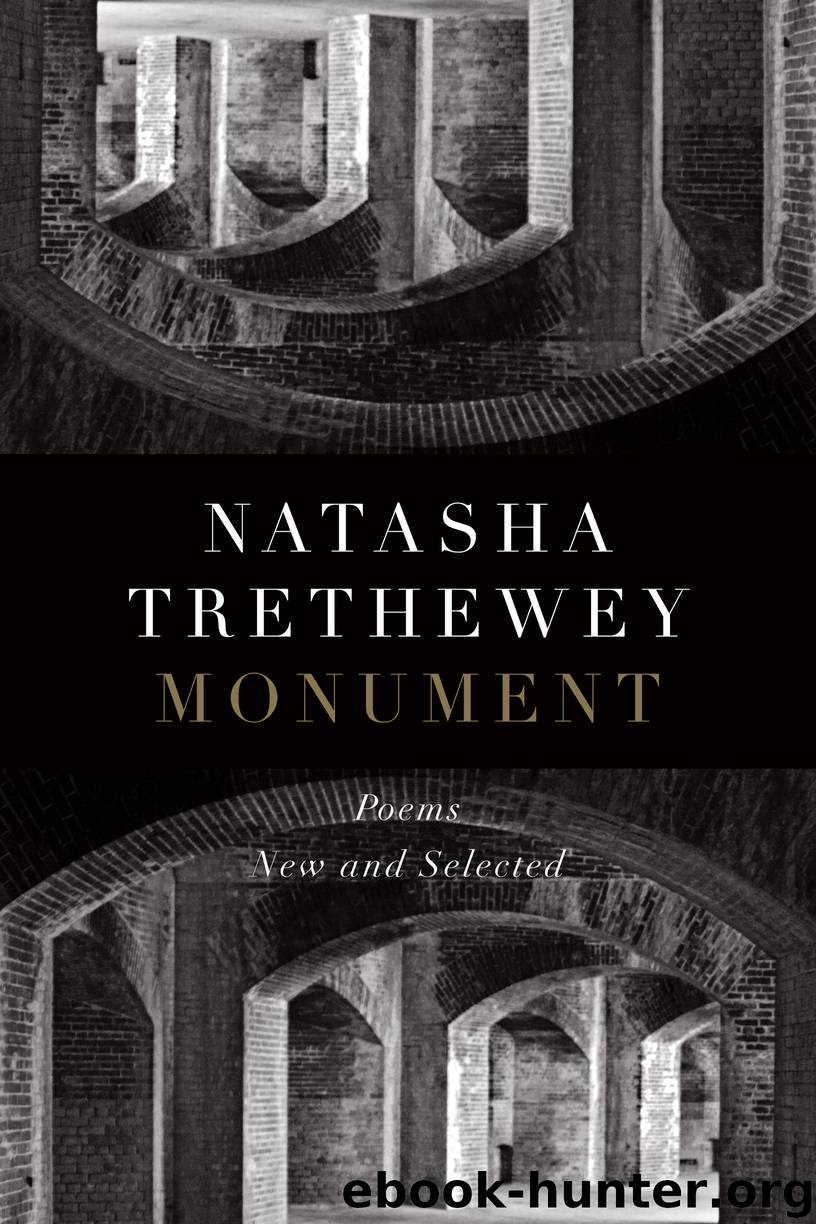 Monument by Natasha Trethewey