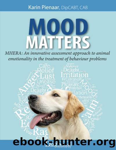 Mood Matters: MHERA by Karin Pienaar