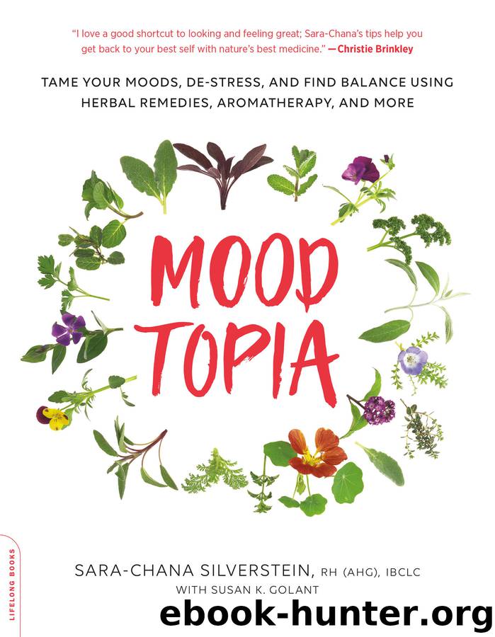 Moodtopia by Sara Chana Silverstein