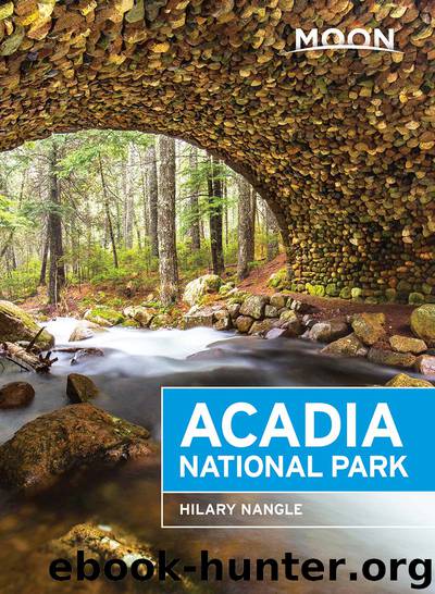 Moon Acadia National Park by Hilary Nangle