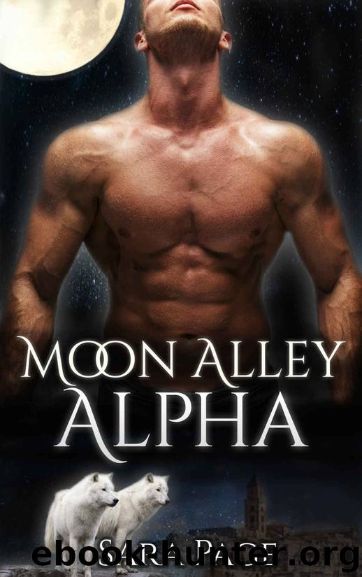 Moon Alley Alpha: Complete Series Bundle by Page Sara