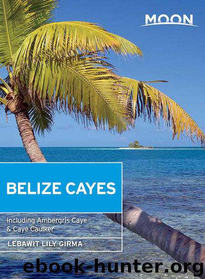 Moon Belize Cayes by Lebawit Lily Girma