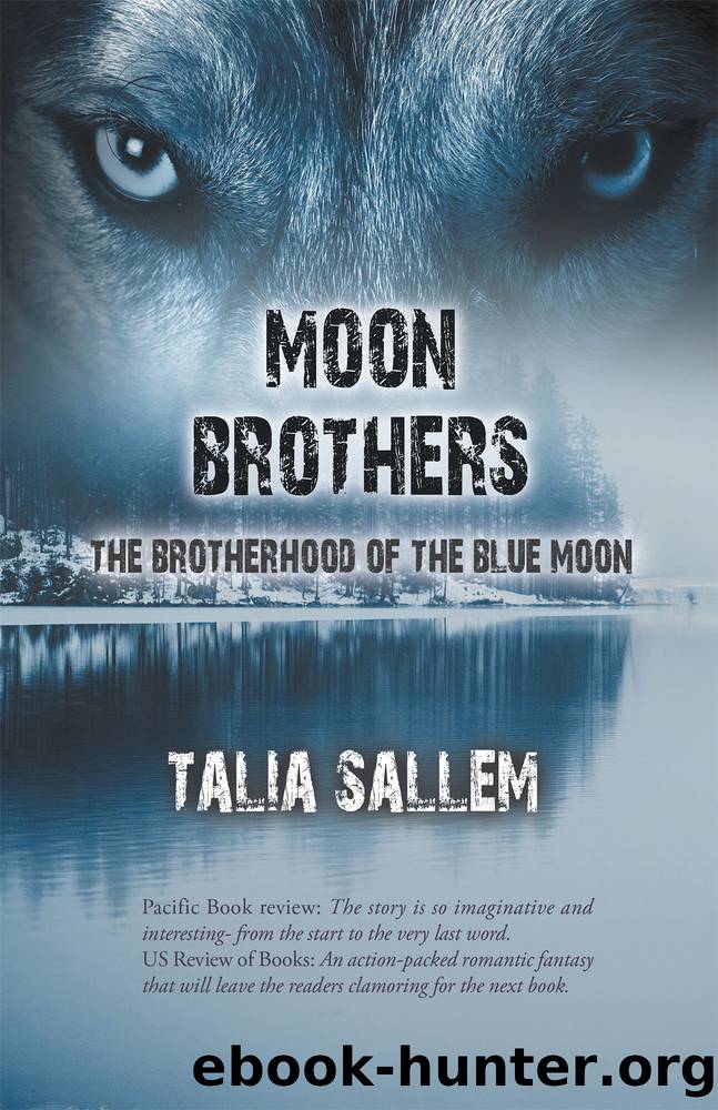 Moon Brothers by Talia Sallem