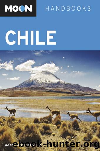 Moon Chile by Wayne Bernhardson