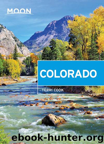 Moon Colorado by Terri Cook