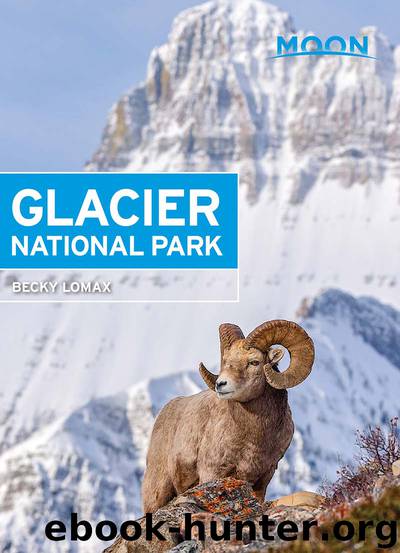 Moon Glacier National Park by Becky Lomax