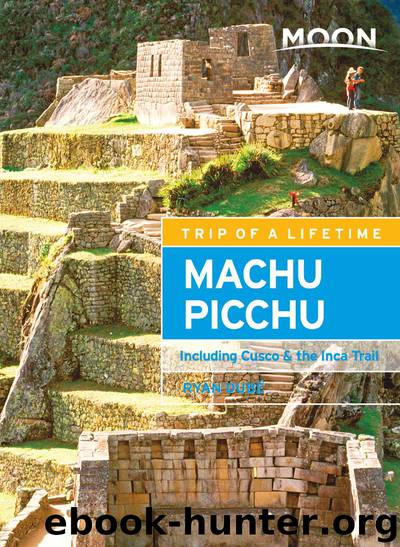 Moon Machu Picchu by Ryan Dubé