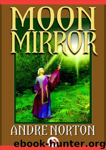 Moon Mirror: A Collection of Stories by Andre Norton