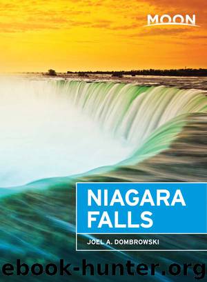 Moon Niagara Falls by Joel A. Dombrowski