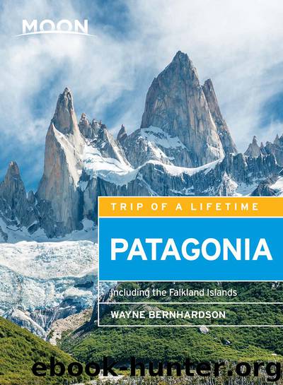 Moon Patagonia by Wayne Bernhardson