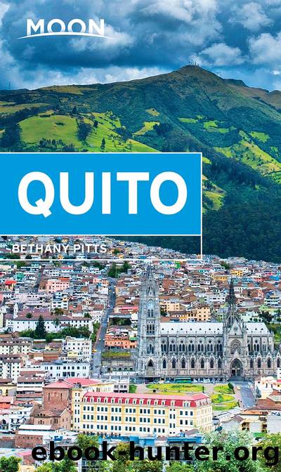 Moon Quito by Bethany Pitts