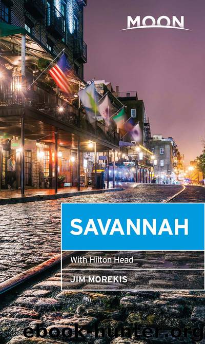 Moon Savannah by Jim Morekis