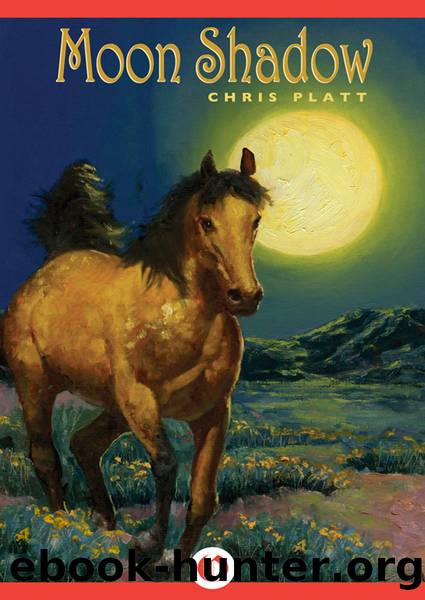 Moon Shadow by Chris Platt