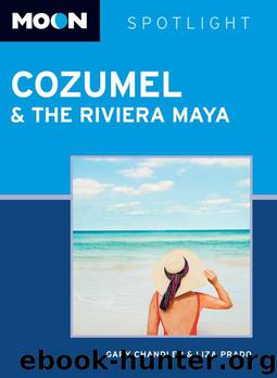 Moon Spotlight Cozumel and the Riviera Maya by Gary Chandler