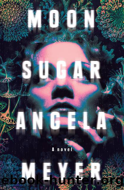 Moon Sugar by Angela Meyer