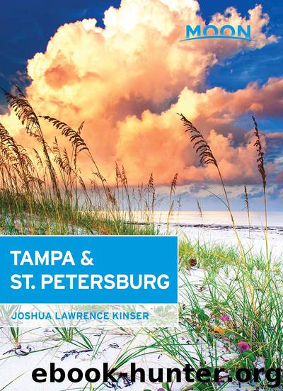 Moon Tampa & St. Petersburg by Joshua Lawrence Kinser