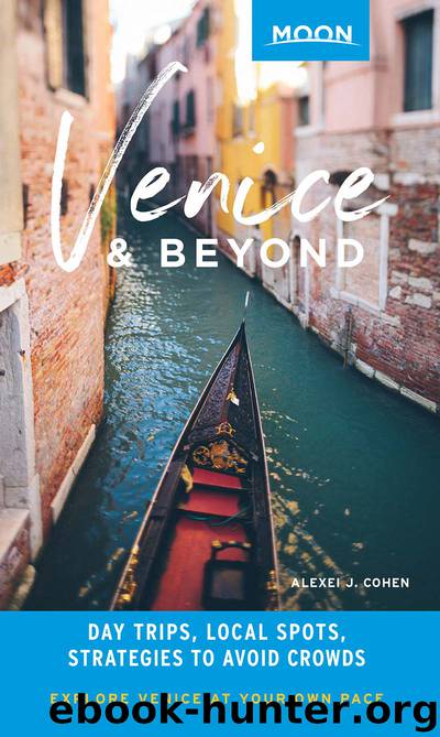 Moon Venice & Beyond by Alexei J. Cohen