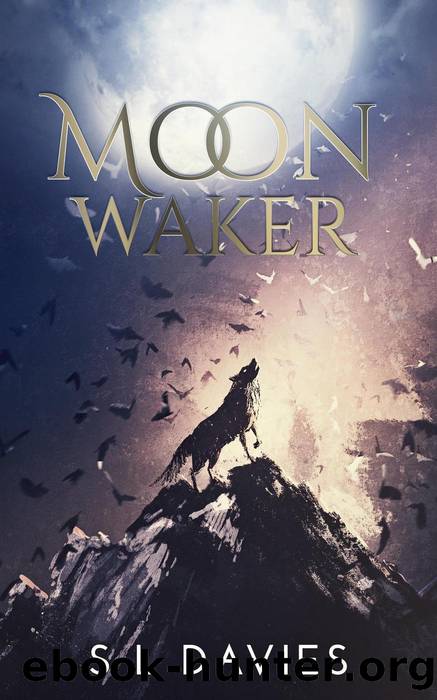 Moon Waker by S L Davies
