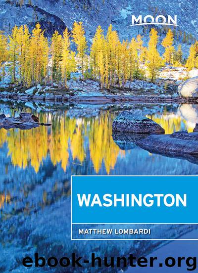 Moon Washington by Matthew Lombardi