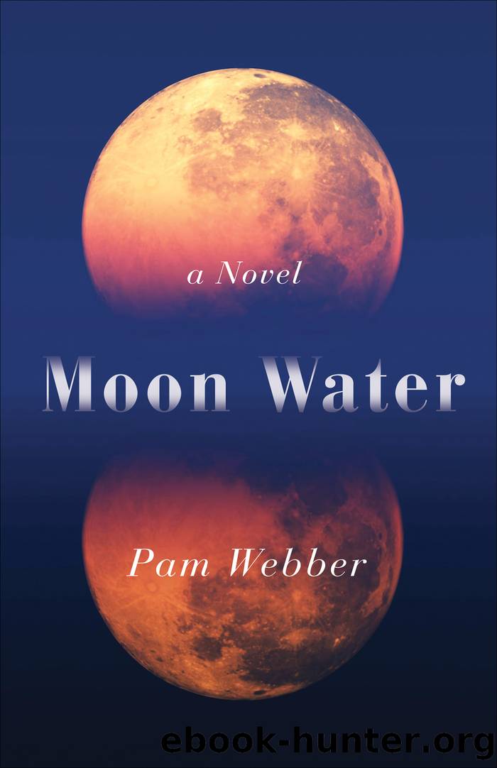 Moon Water by Pam Webber