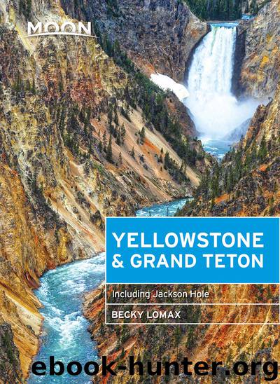 Moon Yellowstone & Grand Teton by Becky Lomax