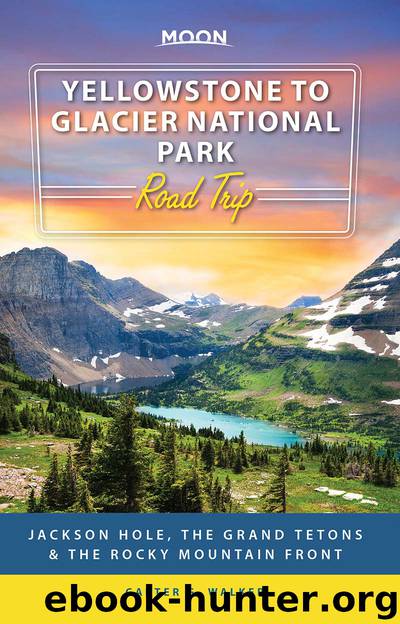 Moon Yellowstone to Glacier National Park Road Trip by Carter G. Walker