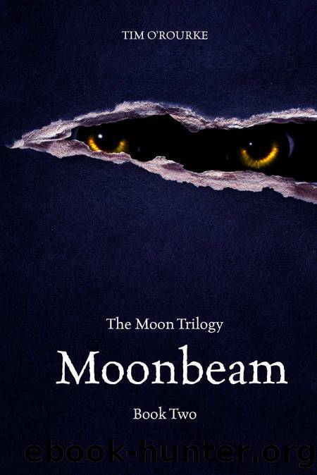 Moonbeam (The Moon Trilogy (Book Two)) by O'Rourke Tim